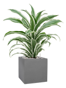 Pot natural cube grise