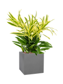 Pot natural cube grise