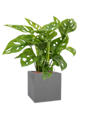 Pot natural cube grise