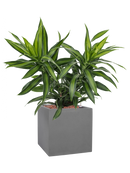 Pot natural cube grise