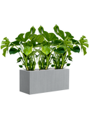 Pot argento rectangle grise