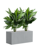 Pot argento rectangle grise