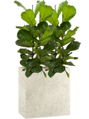 Pot grigio rectangle beige