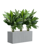 Pot argento rectangle grise