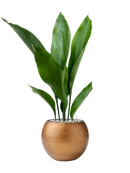 Pot lux retro globe d'or