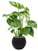 Pot nature groove globe noire