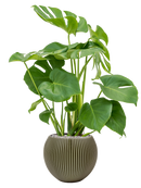 Pot nature groove special globe verte