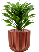 Pot nature groove special couple rouge