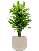 Pot raindrop darcy beige