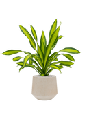 Pot raindrop darcy beige