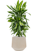 Pot raindrop darcy beige