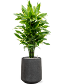 Pot raindrop darcy anthracite