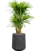 Pot raindrop darcy anthracite