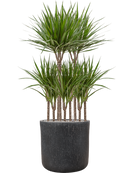 Pot raindrop cylinder anthracite