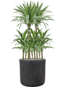 Pot raindrop cylinder anthracite