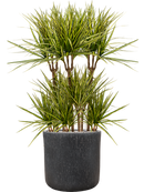 Pot raindrop cylinder anthracite