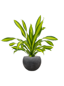 Pot raindrop globe anthracite