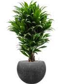 Pot raindrop globe anthracite