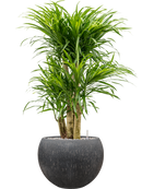 Pot raindrop globe anthracite