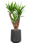Pot raindrop darcy anthracite