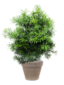 Pot terra cotta couple grise