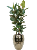 Pot laos emperor d'or