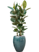 Pot laos emperor bleue