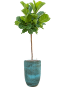 Pot pure partner bleue