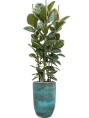 Pot pure partner bleue