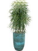 Pot pure partner bleue