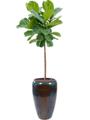 Pot mystic partner bleue