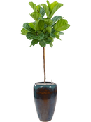 Pot mystic partner bleue