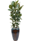 Pot mystic partner bleue