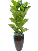 Pot mystic partner bleue