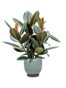 Pot linn couple bleue