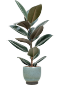 Pot linn couple bleue