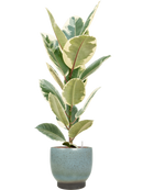 Pot linn couple bleue