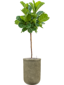 Pot vertical rib cylinder verte