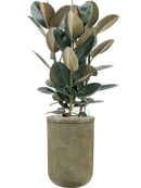 Pot vertical rib cylinder verte