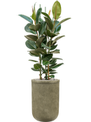 Pot vertical rib cylinder verte