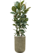 Pot vertical rib cylinder verte