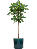 Pot cylinder cylinder bleue