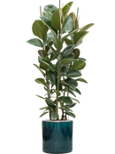 Pot cylinder cylinder bleue