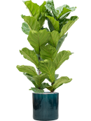 Pot cylinder cylinder bleue