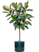 Pot cylinder cylinder bleue