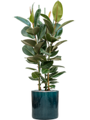 Pot cylinder cylinder bleue