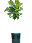 Pot cylinder cylinder bleue