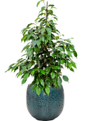 Pot marly couple bleue