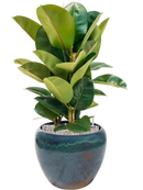 Pot mystic couple bleue