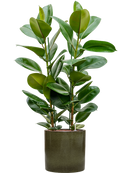 Pot cylinder cylinder verte